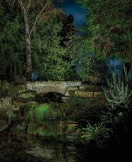 Soft landscape lighting around water, planting and stonework, creating a quiet after-dark garden composition.
