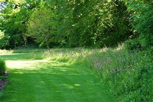 Helen Elks-Smith MSGD - Lymington Garden