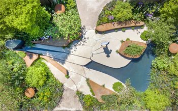 Chelsea Flower Show 2022. 
RHS Bee Garden based on a bees wing. 