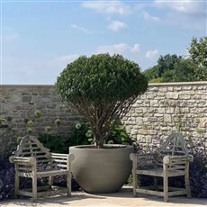 The globe planter acts as the visual anchor of the seating area — a single, confident statement piece that brings structure, balance, and quiet elegance to the garden.

Garden Designed by Bath Garden Design 