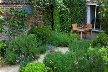 Walled garden with living wall and Mediterranean planting for all year interest