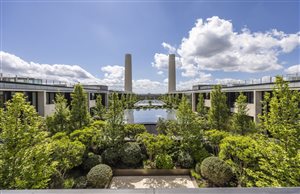 Winner: Andy Sturgeon FSGD - Project: Battersea Power Station Roof Gardens - Image John Sturrock