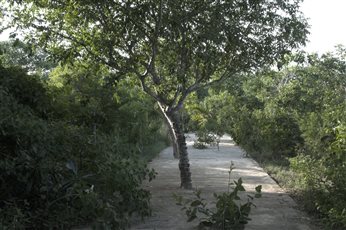 Salaam Paths in Kilifi, Kenya