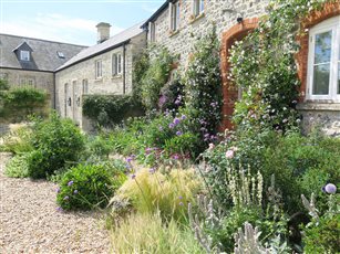 A garden in Somerset with gorgeous gravel planting along the farmhouse walls linking the whole facade of the building and creating year round interest.