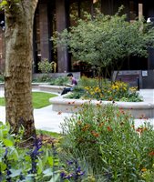 Reardonsmith Landscape LLP, Principal Designer  Edward Freeman MSGD - Christchurch Gardens, Victoria, London - Photo Jill Mead