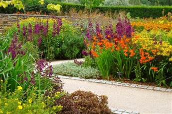 The Hot Garden, RHS Rosemoor
