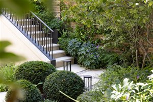 Anca Panait MSGLD - Chelsea Garden. Photograph © Richard Bloom