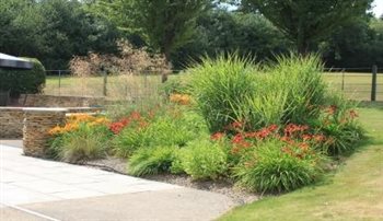 planting to swimming pool garden