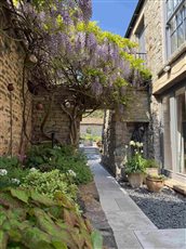 A traditional courtyard garden
