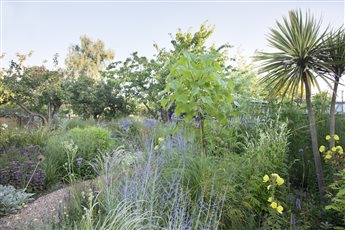 Mixed borders filled with exotic plants and colourful perennials in a garden for a Georgian farmhouse in Kent. Photo Credit: Annaick Guitteny