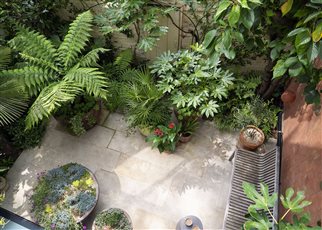top view of the little urban courtyard