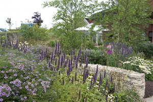 Cleve West MSGD - Horatio's Garden (3)