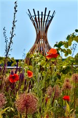 RHS Wisley Wildlife Garden