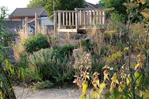Laura Burt - Bloom and Play Garden.