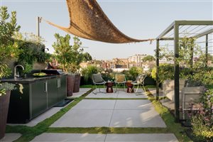 Maïtanne Hunt MSGLD - Chelsea Roof Garden. Photograph © Julie Skelton