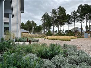 Coastal Front Garden East Lothian