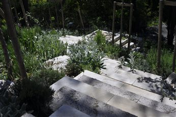Limestone steps at Le Pel in Provence