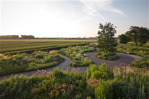 Stefano Marinaz Landscape Architecture, principal designer Stefano Marinaz MSGLD - Future Plants Landscape