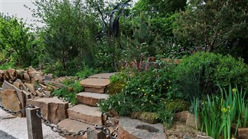 We supply to award winning gardens at the major RHS shows every year