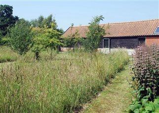meadows by the barns