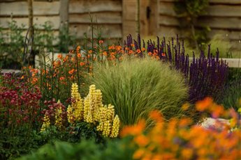 Planting in gravel 