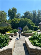 Formal herb garden for Colin and Jane