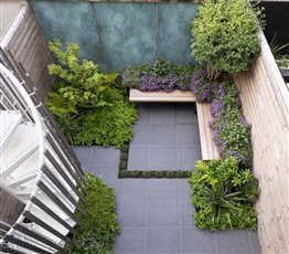 A shady basement garden where we transformed a concrete block wall into a verdigris backdrop for evergreen planting and beautiful flowering Campanulas.