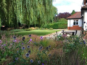 Naturalistic planting within a rectilinear design