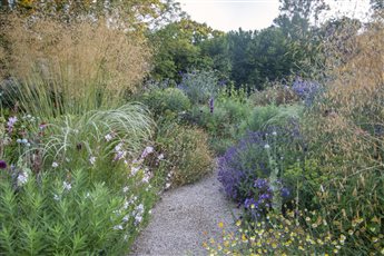 Sumptuous mixed border planting creates height, movement and year round interest for a wildlife friendly garden in Sussex. 
Photo Credit: Abigail Rex