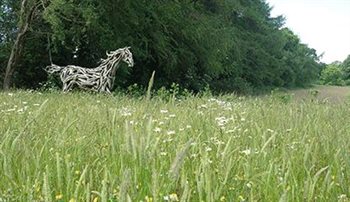 Large country garden - Frieth, Oxfordshire