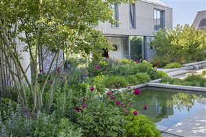 Charlotte Rowe Garden Design, Principal Designer Charlotte Rowe MSGD - Oxfordshire Garden - Marianne Majerus