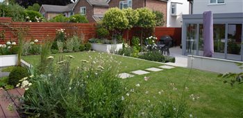 Contemporary garden with structural and soft planting for year round interest