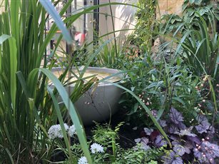 Cascading water feature amongst mixed planting