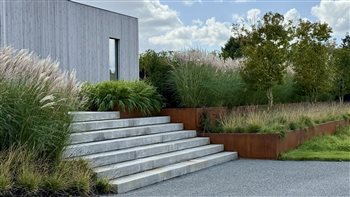 Contemporary Garden
designed by Joe Perkins