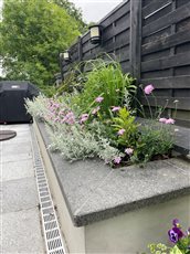 5.  Upper terrace deteriorating decking on two levels replaced with a single level paved  dining area.