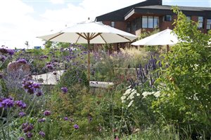 Cleve West MSGD - Horatio's Garden (4)