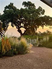 Country garden in Toledo, Spain