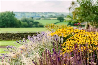 Country garden in Yorkshire