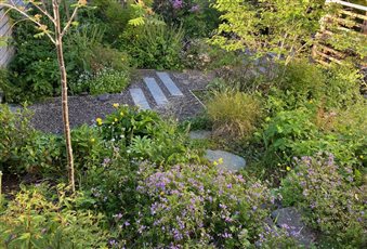 A naturalistic garden in Rhu centred around family life and wildlife equally. This garden boasts an undercover deck, a seating area nestled in planting, a wildlife pond and a mini-forest garden and vegetable beds. 