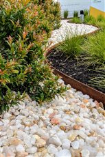 Garden Edging - 75mm Flex in weathered steel