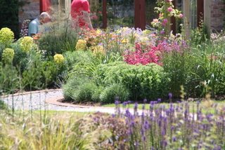 Cottage style garden in North Yorkshire packed with perennials for a fantastic display.