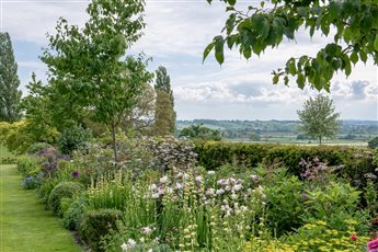 Somerset Plains - An extensive garden set on the side of a hill with stunning views across the Somerset plains.