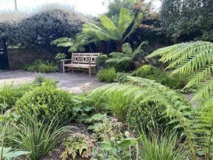 Downs garden Bristol
- Exuberant front garden