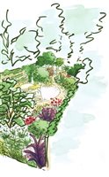 Sally Williams - Ingrid's garden - Capel Manor College