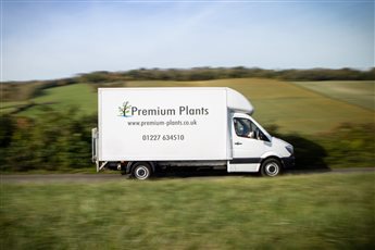 With the use of industry leading software, we are able to provide quotes promptly. If you are happy with the quote, we will order the plants to us, sort and check them. Once everything is done, we will repack according to your needs and deliver.