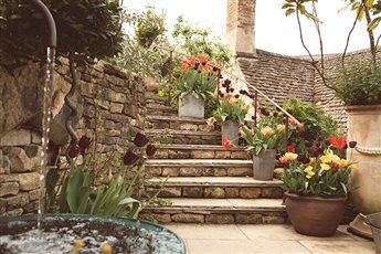 Tiny town centre terraced garden in Springtime.