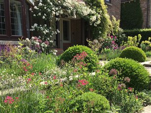 Surrey Arts and Crafts inspired front garden making space for people ( and cars)