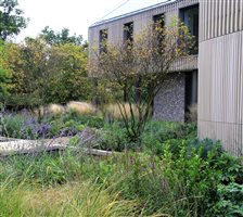 Charlotte Rowe Garden Design, Principal Designer Charlotte Rowe MSGD - Oxfordshire Garden