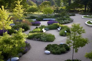 Winner: Matt Keightley MSGD - Project: RHS Wisley - The Wellbeing Garden - Image Alister Thorpe