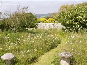 Dorset Large Country Garden
